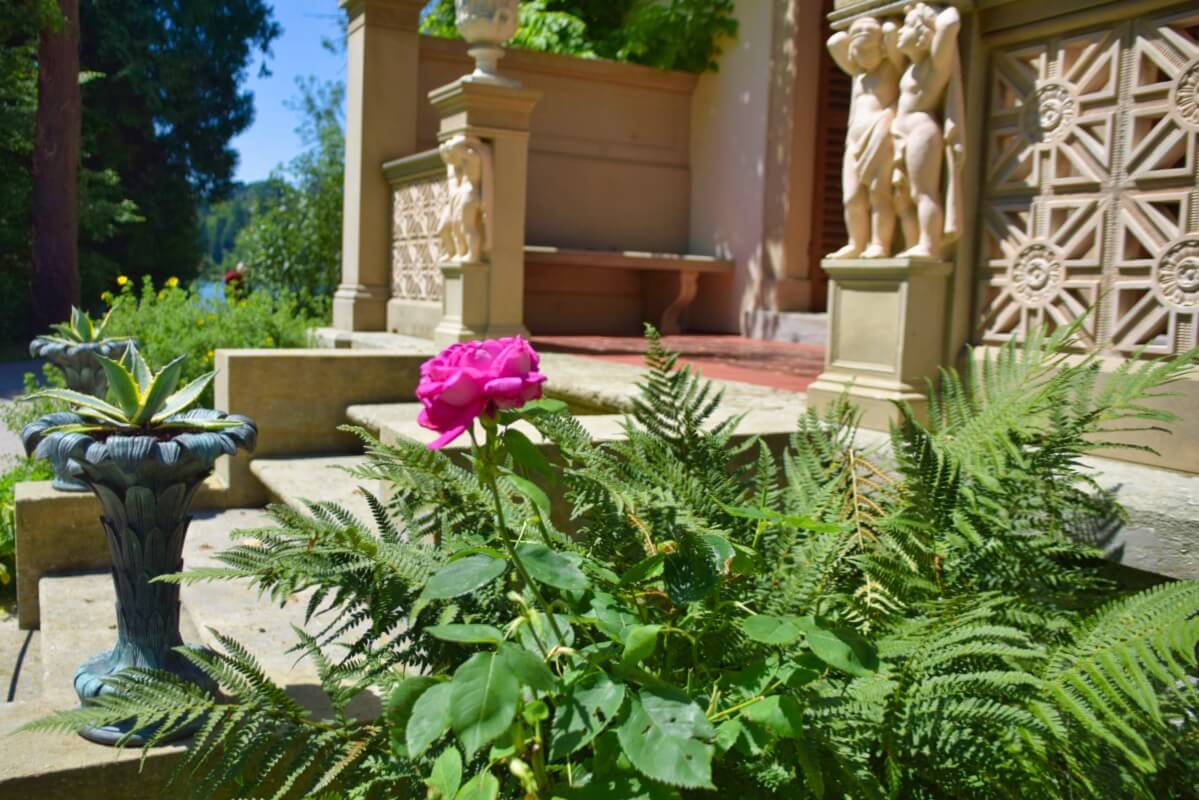 Sehenswürdigkeiten Oberbayern: Rose vor dem Casino auf der Roseninsel im Starnberger See