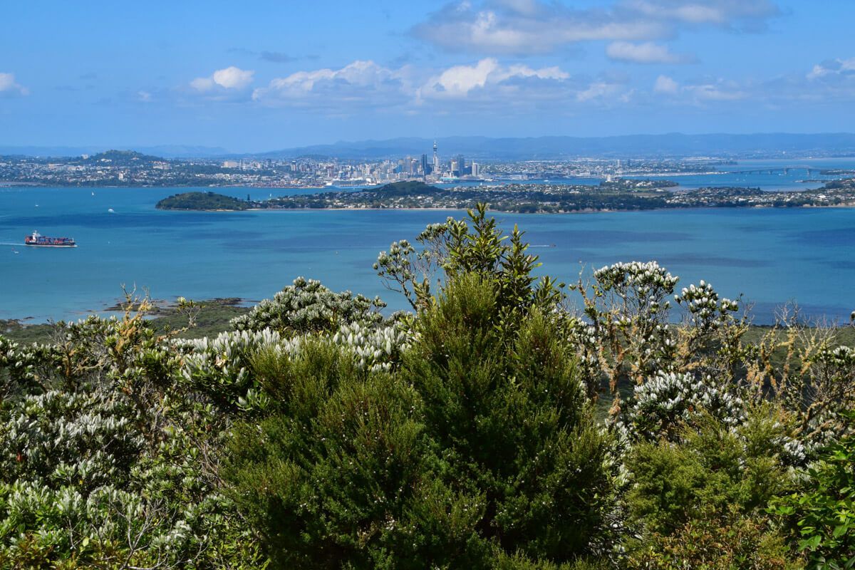 Neuseeland auckland rangitoto blick auf stadt |
