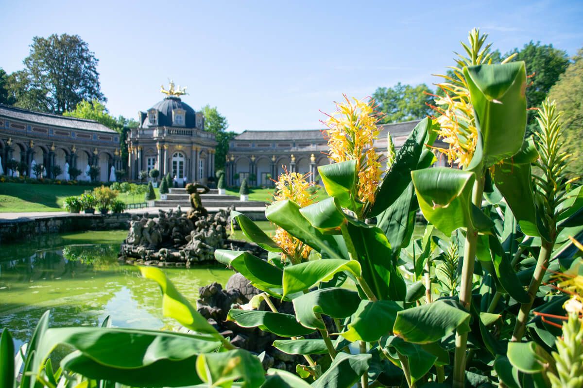 Sehenswürdigkeiten Bayreuth auf Markgräfin Wilhelmines Spuren 33 Neues Schoss mit gelben Blüten davor und einem Brunnen