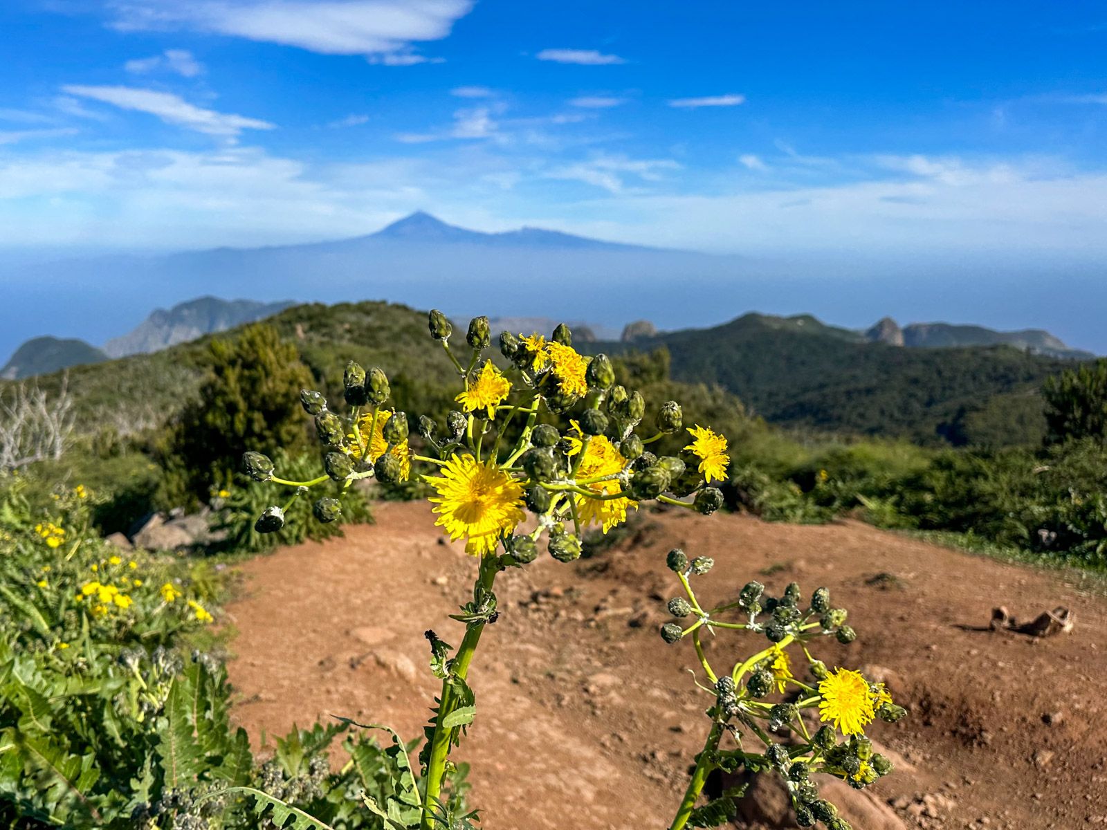 gomera garajonay nationalpark 2 |