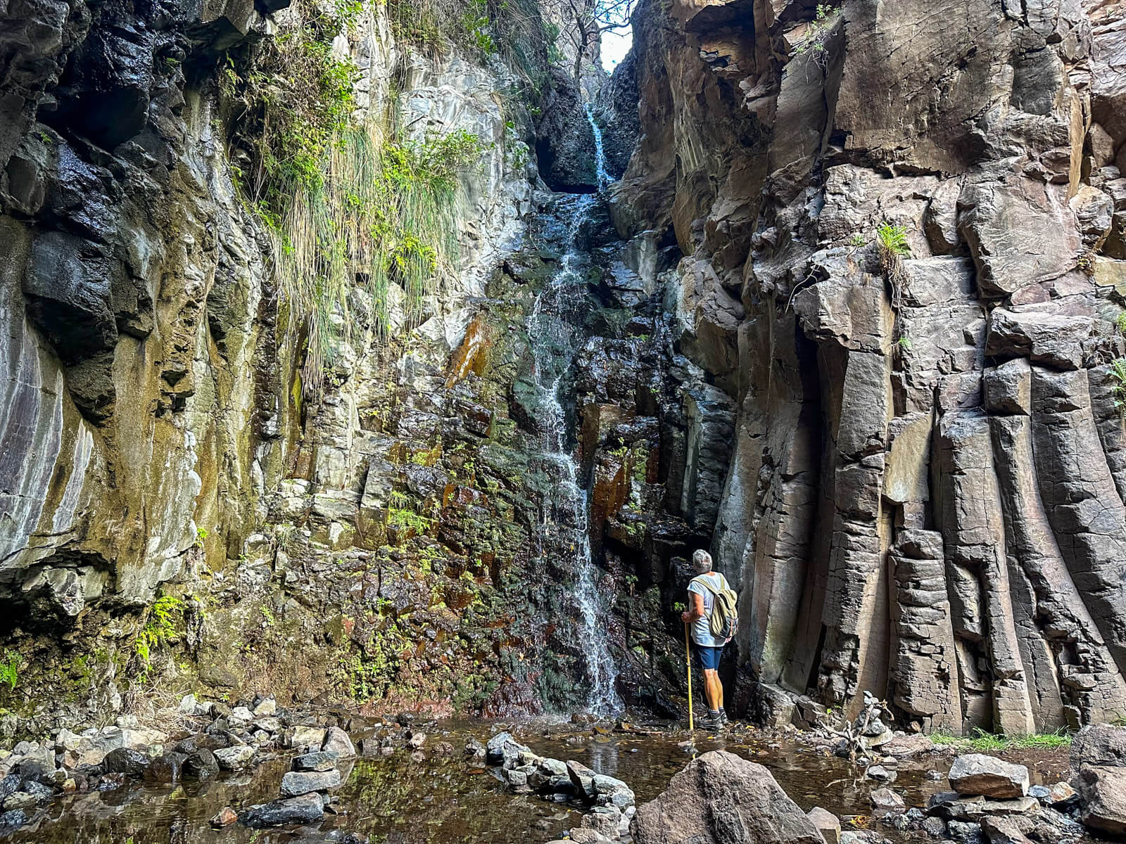 Wandern auf La Gomera: Wanderung zum Wasserfall