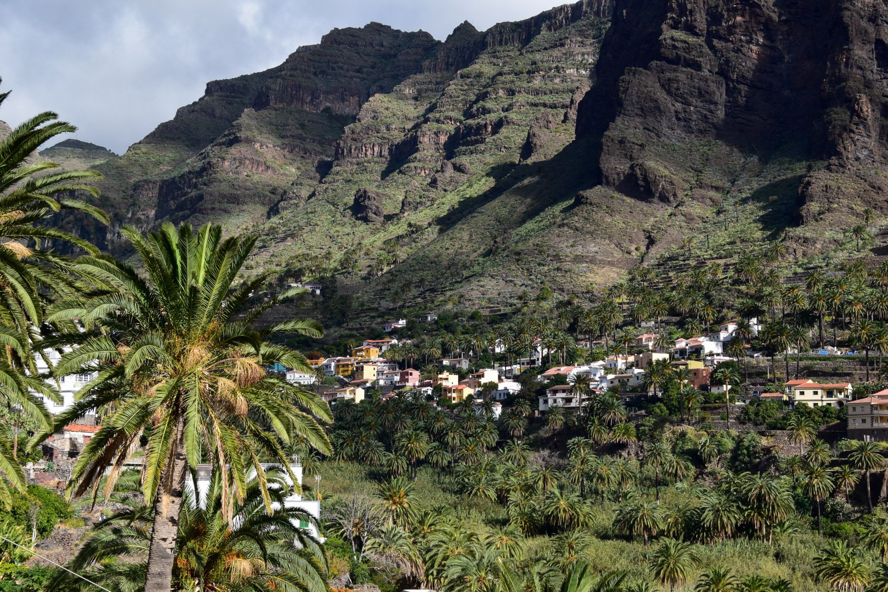 gomera valle terrassen 2 |