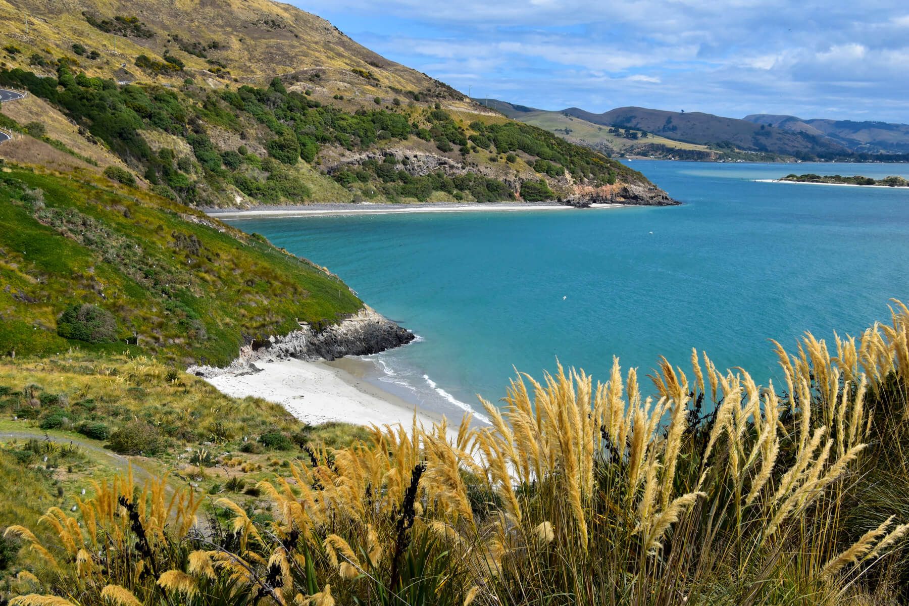 Highlights auf der Otago Peninsula: Küstenlandschaft mit weißem Strand
