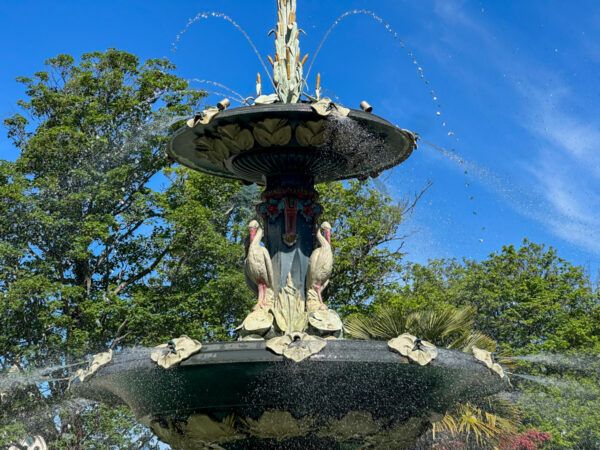 neuseeland christchurch botanischer garten 3 |