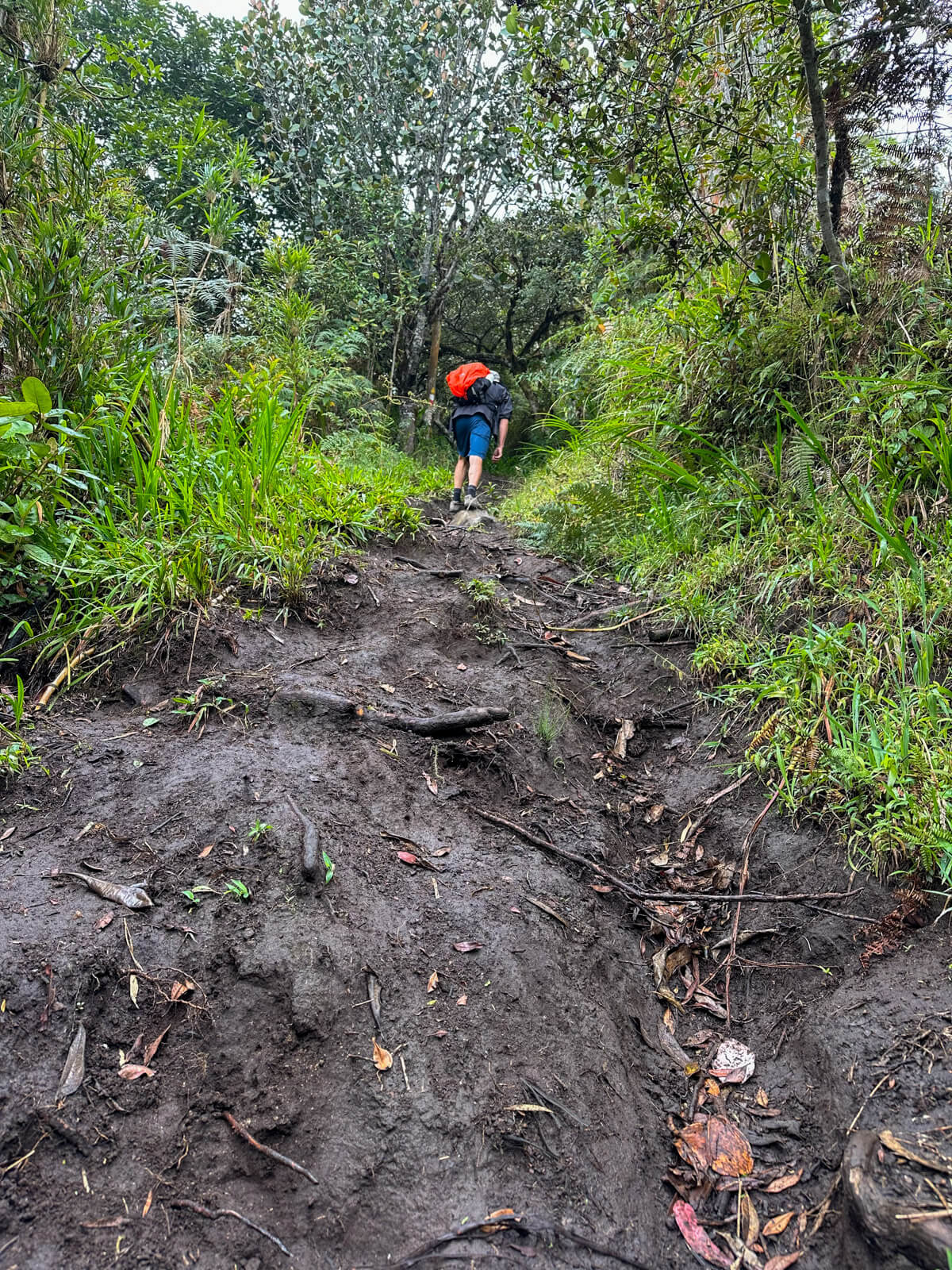 ecuador banos wanderung casa del arbol 2 |