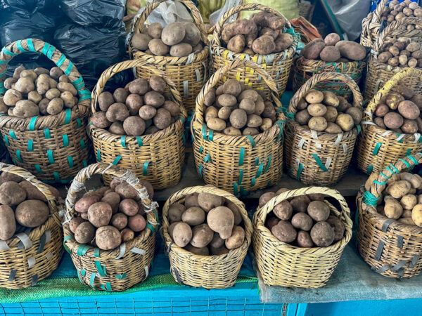 Highlights in Ecuador: Kartoffeln auf dem Markt