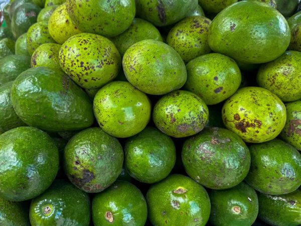 Avocados