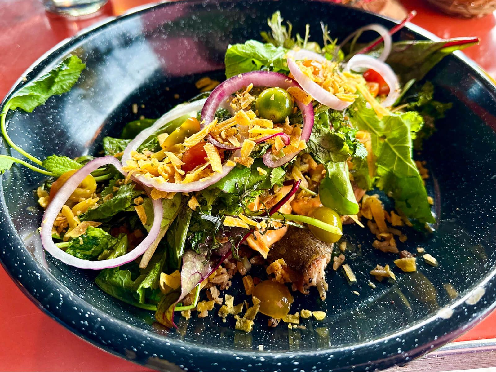 bunter Salat in schwarzer Schüssel