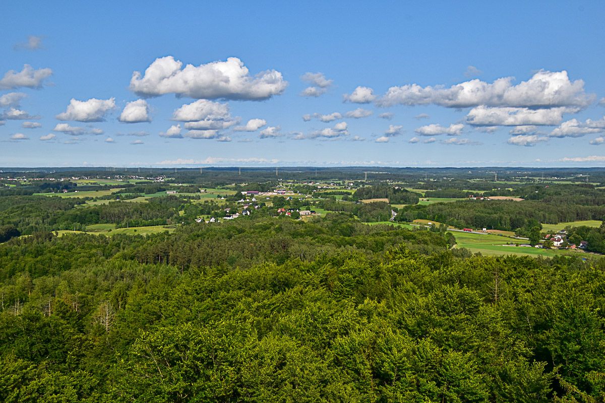Aussicht auf großes Waldgebiet und eine Siedlung im Hintergrund