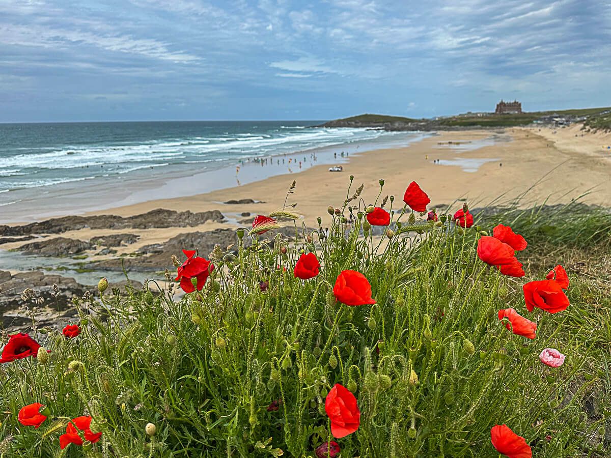 Fistral Beach, Newquay: langer Sandstrand mit Mohnblumen im Vordergrund