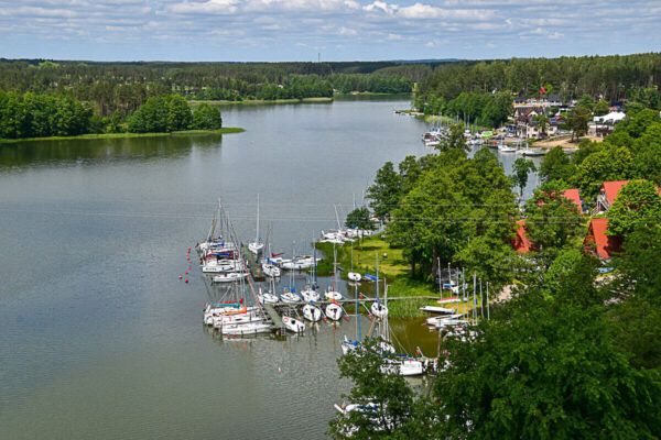 Großer See, umgeben von Wald. Im Vordergrund