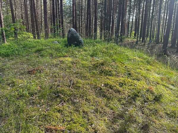 Hügelgrab im Wald, das von einem Stein bekrönt ist