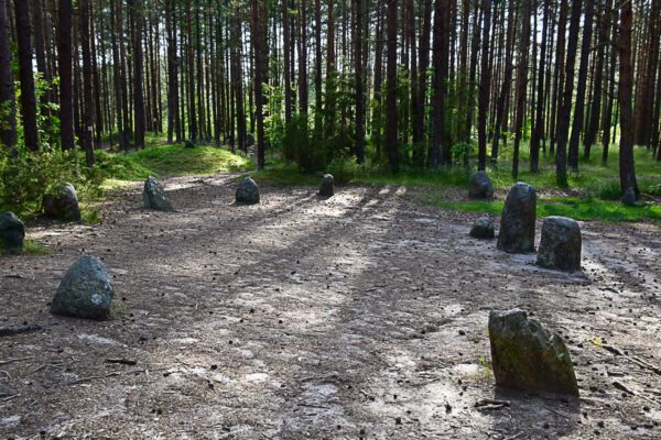 Steinkreis im Wald
