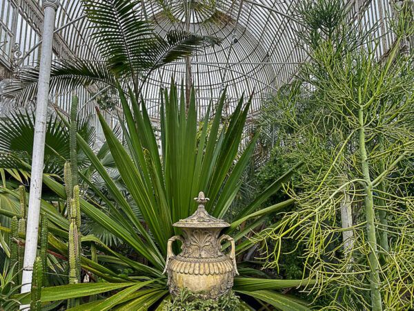 Glashaus mit Pflanzen und Vase