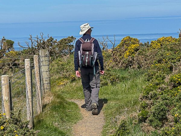 Wanderer auf dem Wanderpfad entlang der Küste mit blühenden Ginsterbüschen