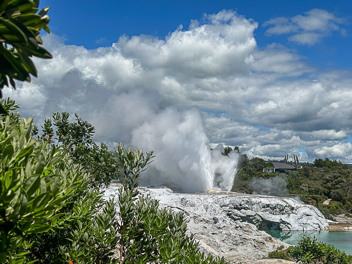 11 spannende Erlebnisse und Sehenswürdigkeiten in Rotorua 40 Eruption des Pōhutu Geysir aus Whakarewarewa betrachtet