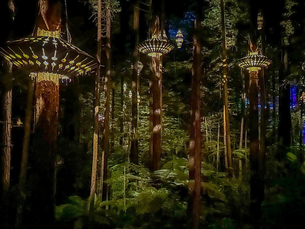 11 spannende Erlebnisse und Sehenswürdigkeiten in Rotorua 29 Treewalk in den Redwoods mit Laternen in den Bäumen
