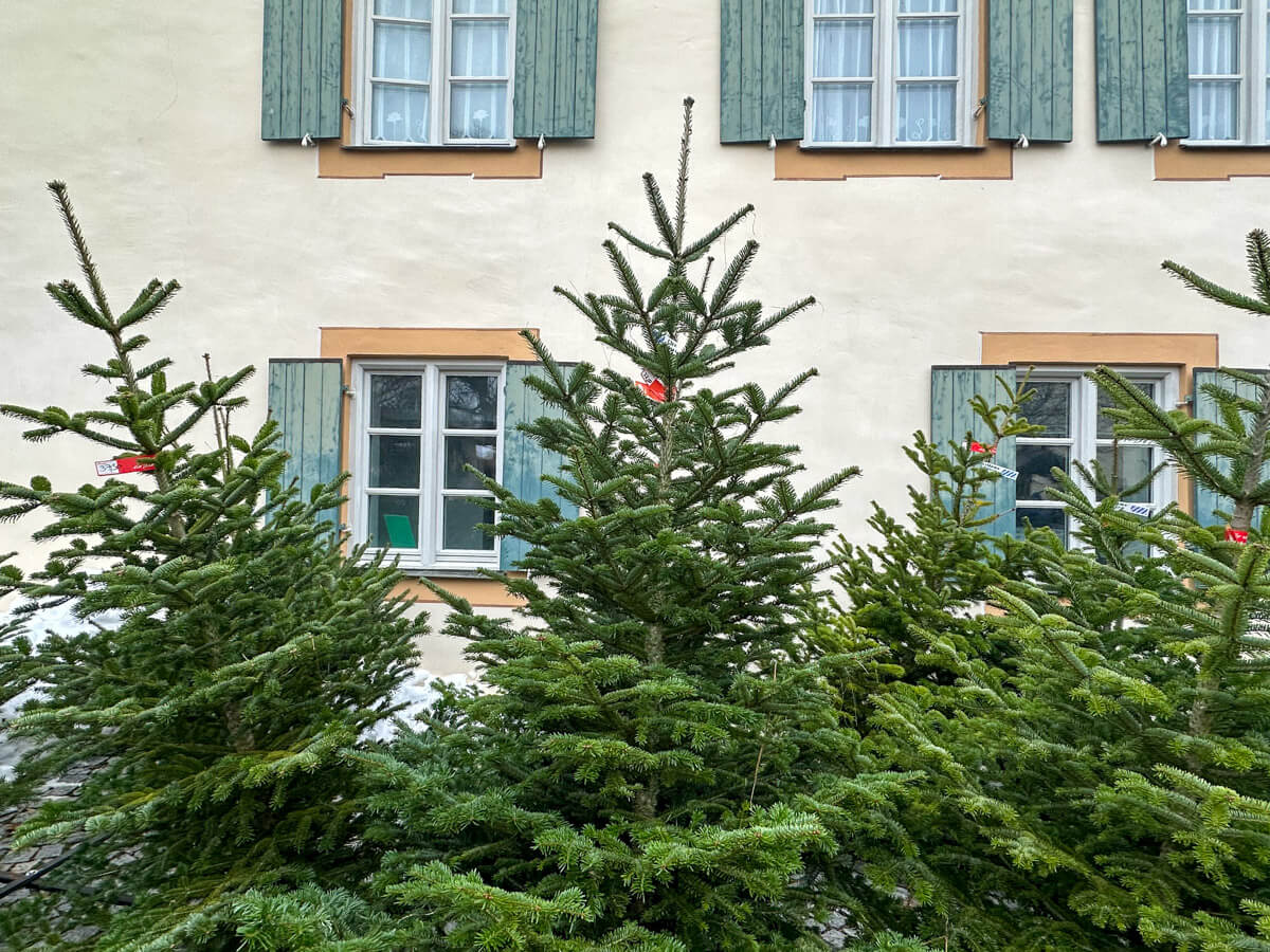 Weihnachtsmärkte in München: Weihnachtsmarkt auf Schloss Blutenburg