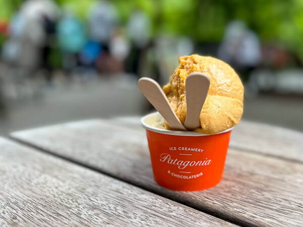 neuseeland queenstown patagonia eis |