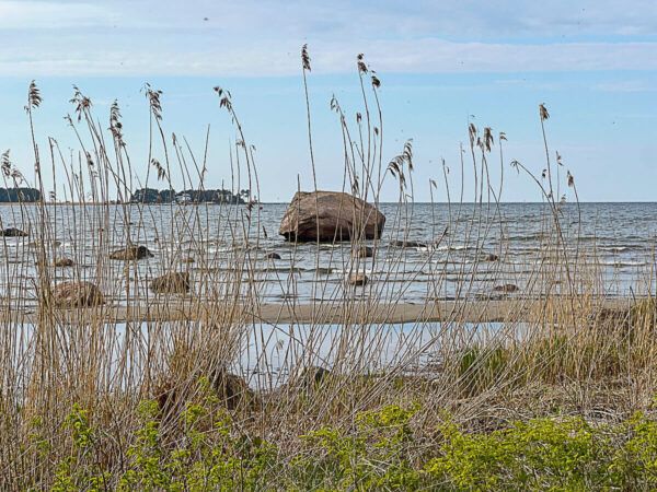 Roadtrip Estland 1 Woche: Ostseeküste, Moore und eine coole Hauptstadt 32 Findling in der Ostsee