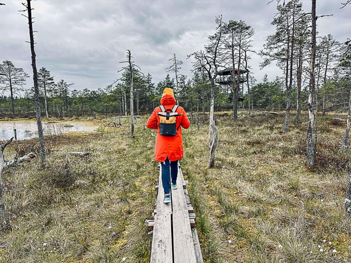 Moorlandschaft mit Seen und Holzbohlenweg, auf dem eine Frau mit orangefarbenem Mantel läuft