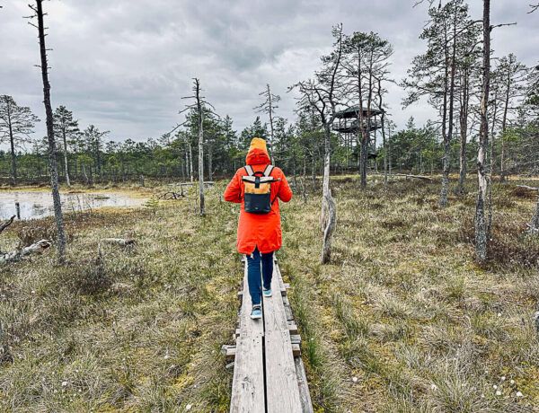 Moorlandschaft mit Seen und Holzbohlenweg, auf dem eine Frau mit orangefarbenem Mantel läuft