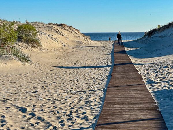 Roadtrip Estland 1 Woche: Ostseeküste, Moore und eine coole Hauptstadt 49 Holzbohlenweg durch die Dünen zum Meer