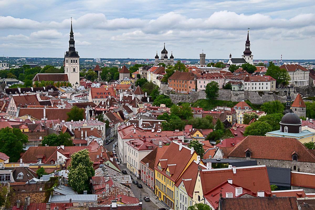 Blick auf die Altstadt von Tallinn mit ihren Türmen.