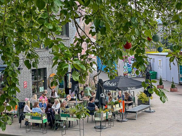 Roadtrip Estland 1 Woche: Ostseeküste, Moore und eine coole Hauptstadt 15 Platz mit Lokal in der Kreativstadt