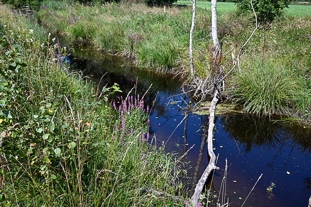 pfaffenwinkel premer filz 1 |