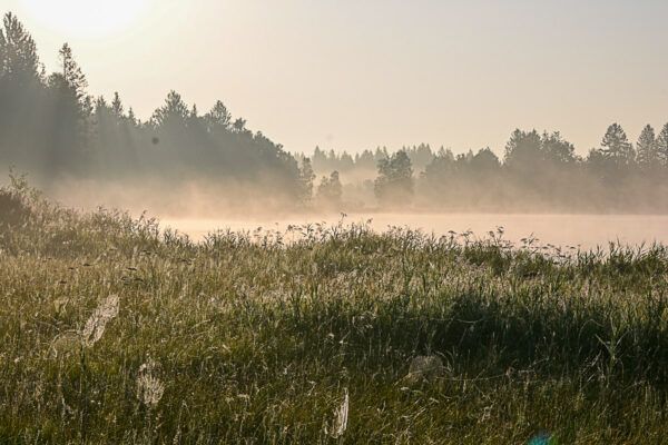 pfaffenwinkel soier see 4 |