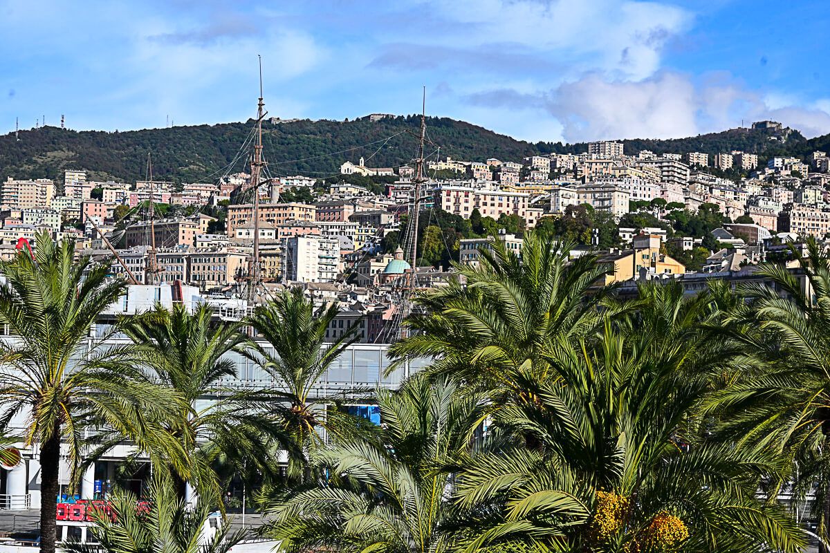 Hafenflair, Palazzi und Pesto Genovese: Reisetipps für ein Wochenende in Genua 13 Palmen am Hafen vor der Altstadt