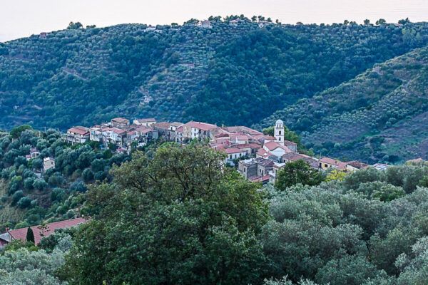 Bergdorf inmitten von Wäldern