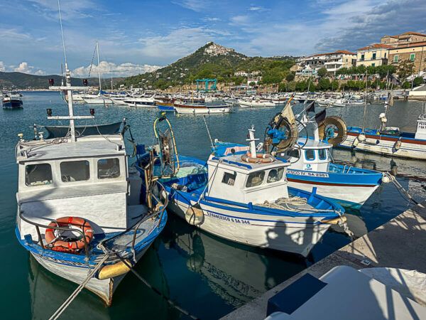 Highlights im Cilento: kleine Boote im Hafen von Palinuro. Im Hintergrund ein bewaldeter Hügel mit einem Dorf.