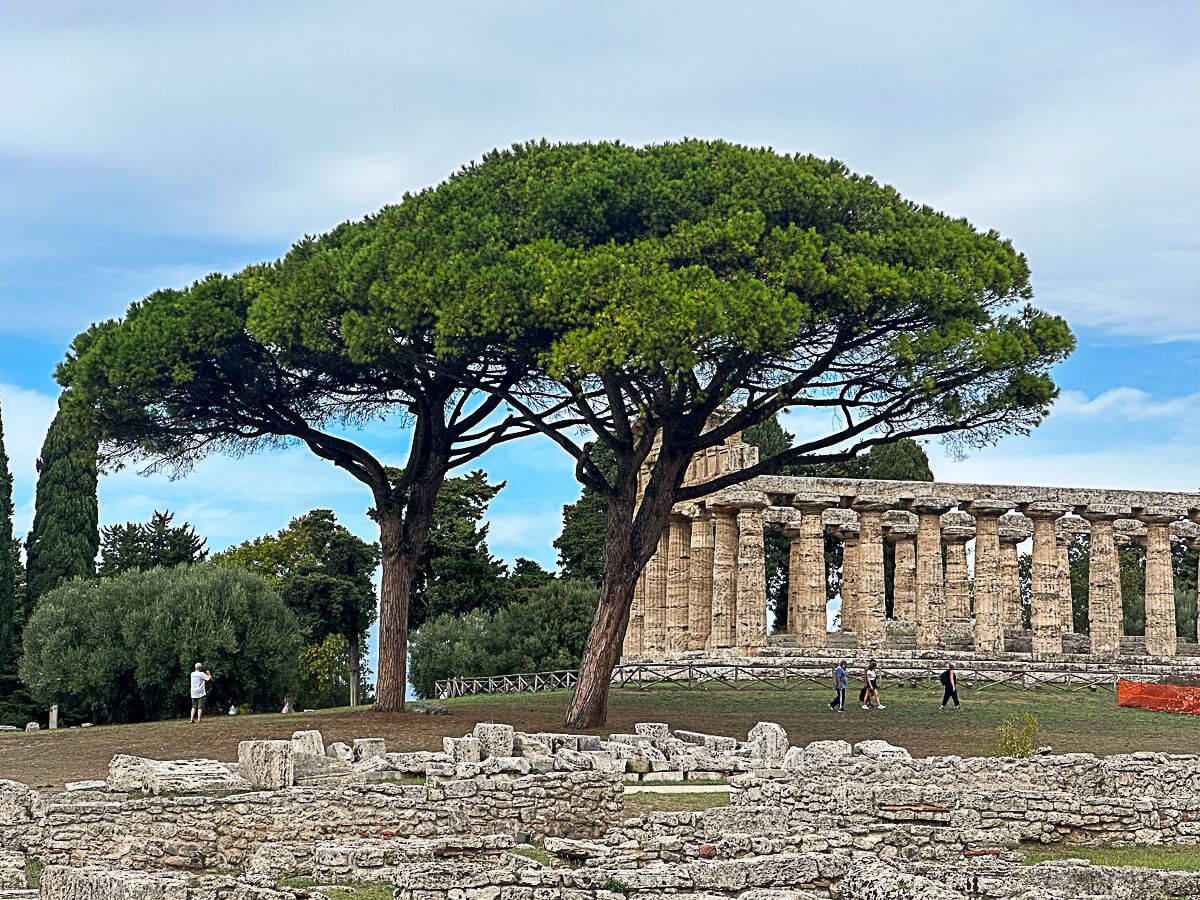 Highlights im Cilento: einer der Tempel von Paestum, umgeben von Pinien