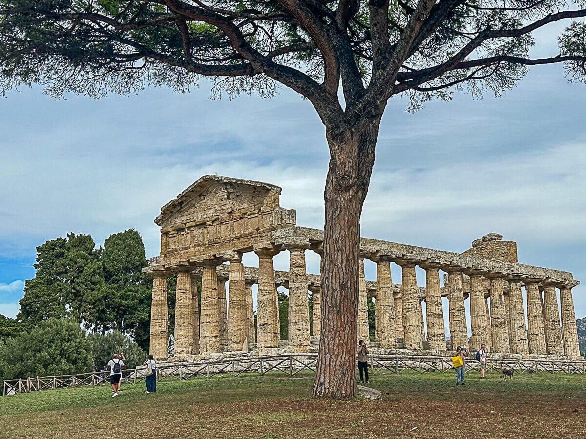 Griechischer Temple mit einer großen Pinie davor