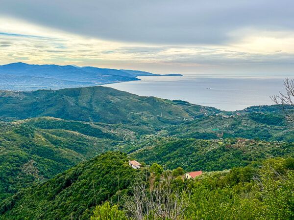 Blick über bewaldete Hügel zur Küste
