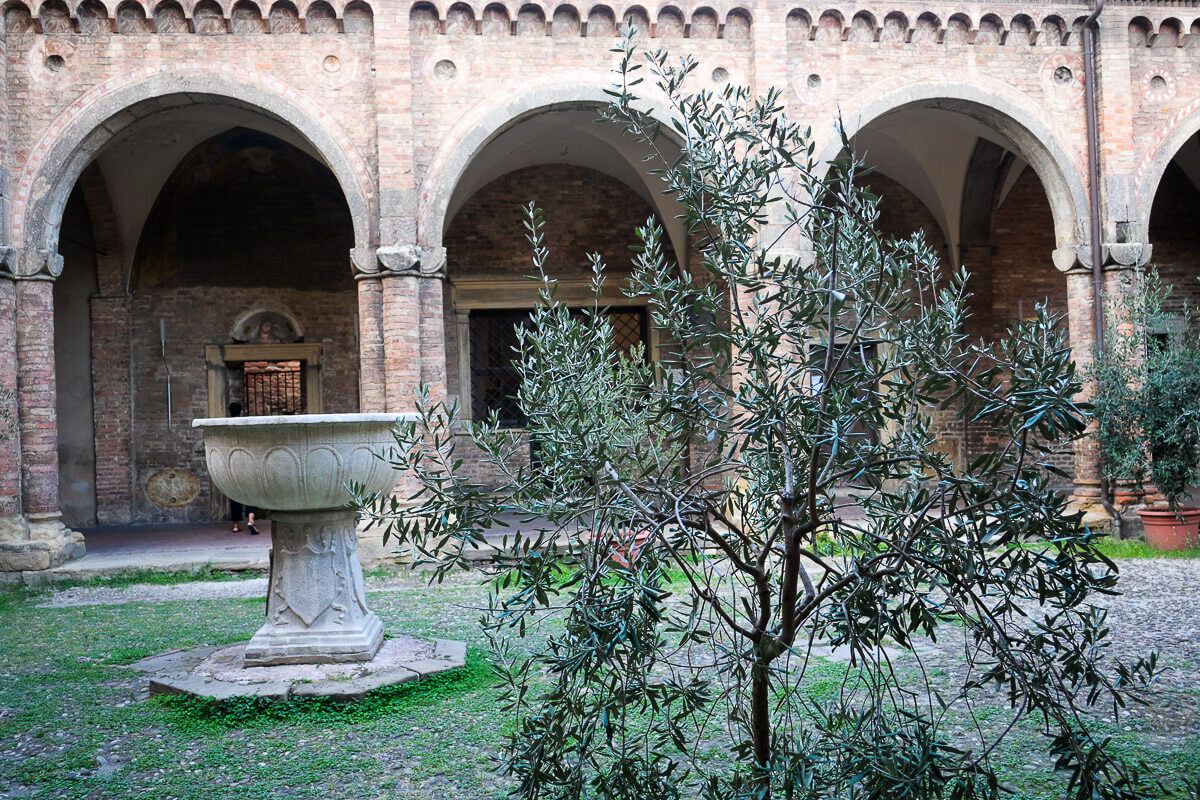 Zwei Stadtperlen der Emilia-Romagna: Sehenswürdigkeiten in Bologna und Ravenna auf der Durchreise 28 Kreuzgang mit Olivenbaum und Taufbecken