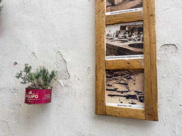 Open-Air-Galerie mit historischen Fotos aus der Ära des Tunfischfangs