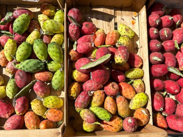 Roadtrip Apulien 2 Wochen: Kaktusfrüchte auf einem Bauernmarkt