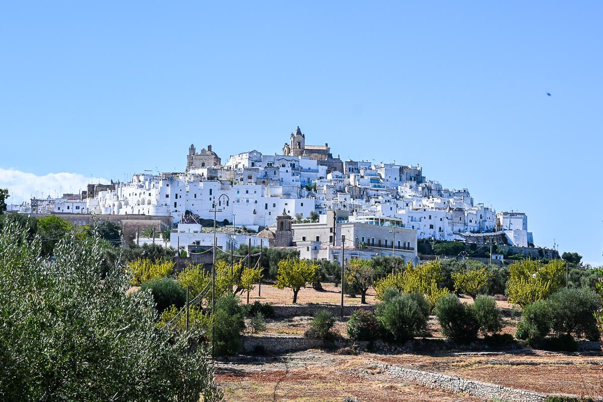 Das weiße Dorf Ostuni auf einem Hügel inmitten von Olivenhainen