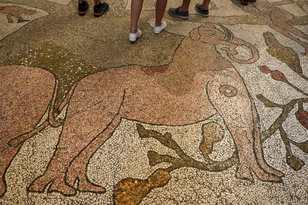 Fußbodenmosaik in der Kathedrale von Otranto, das einen Elefanten zeigt
