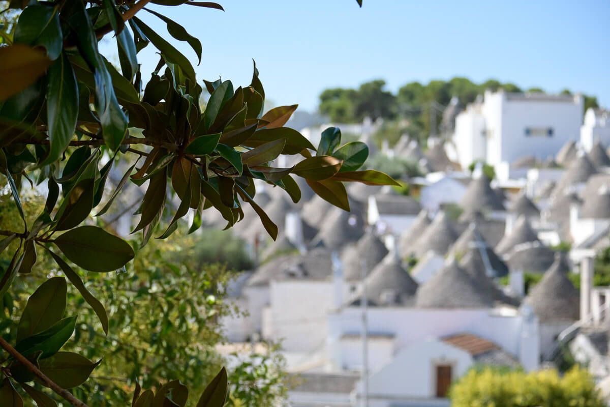 Die Dächer der Trulli in Alberobello im Hintergrund, im Vordergrund Blätter