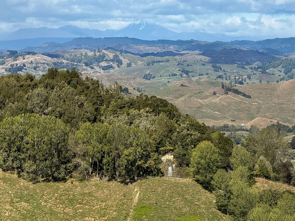 Forgotten World Highway – ein Roadtrip durch ein Stück Good Old New Zealand 31 Blick zum Tongariro-Nationalpark mit den Vulkanen im Hintergrund