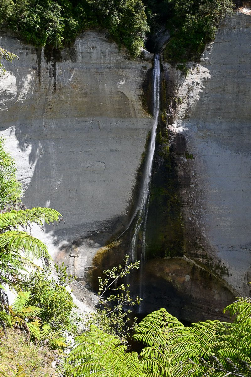 Forgotten World Highway – ein Roadtrip durch ein Stück Good Old New Zealand 25 Schmaler Strahl eines Wasserfalls vor Baumfarnen