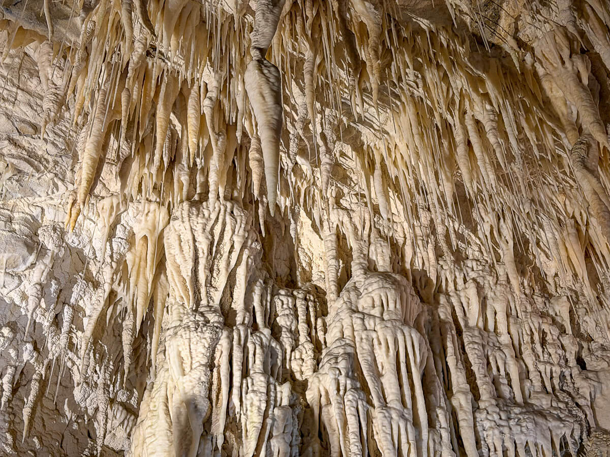 Formationen in der Ruakuri Cave