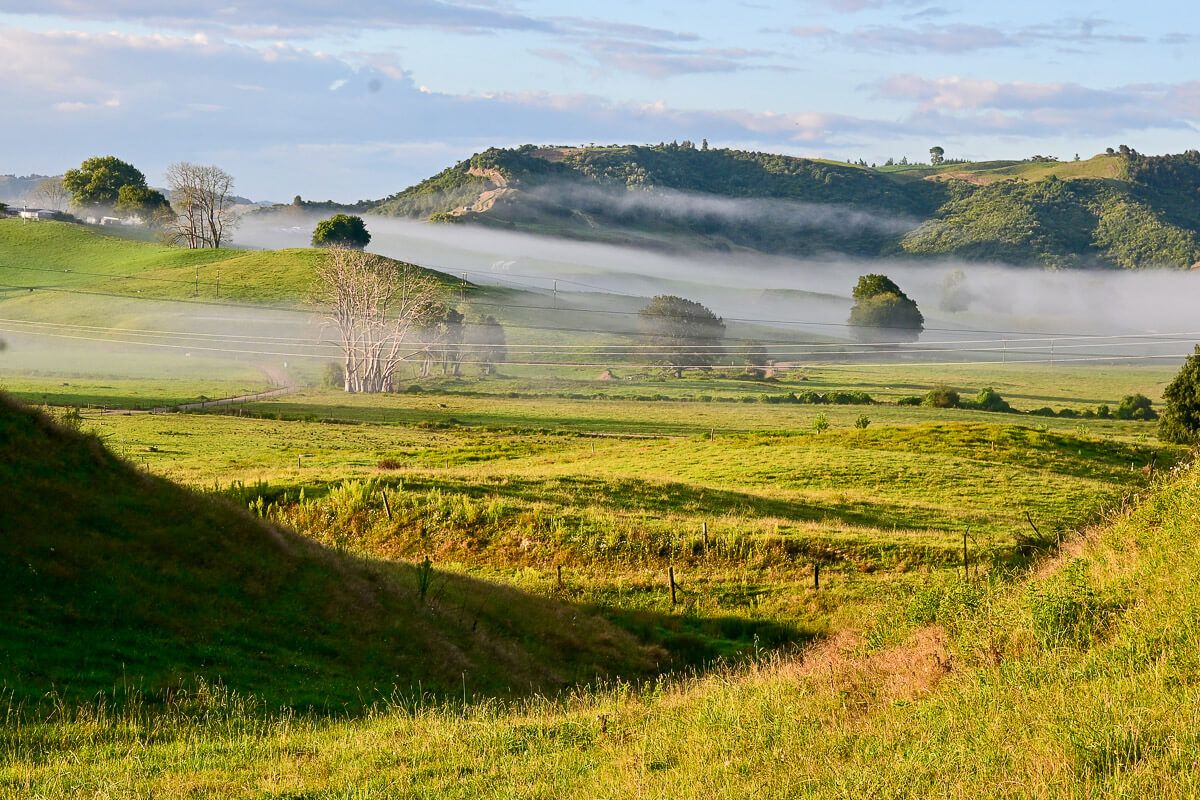Morgennebel durchziehen das grüne Hügelland von Waikato