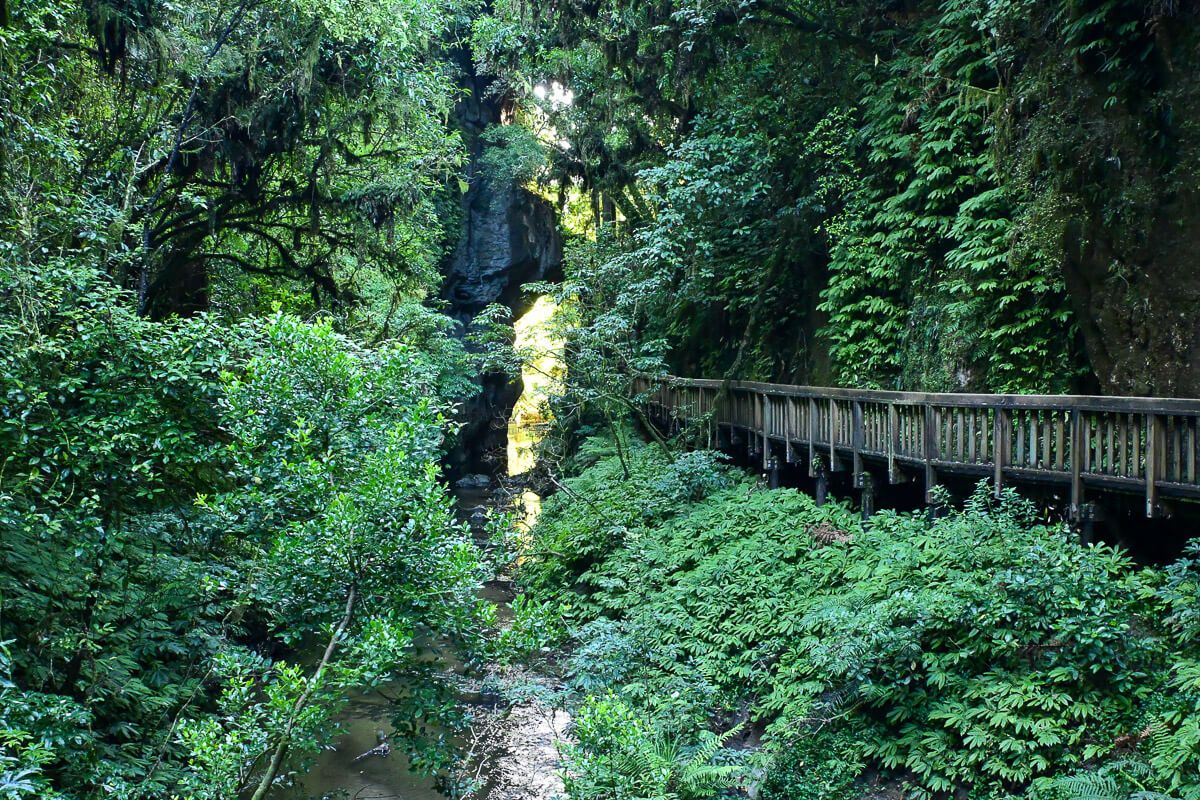 Weg über eine Holzbrücke durch den Regenwald. im Hintergrund ein Felstor, durch das die Morgensonne ihren Schein wirft