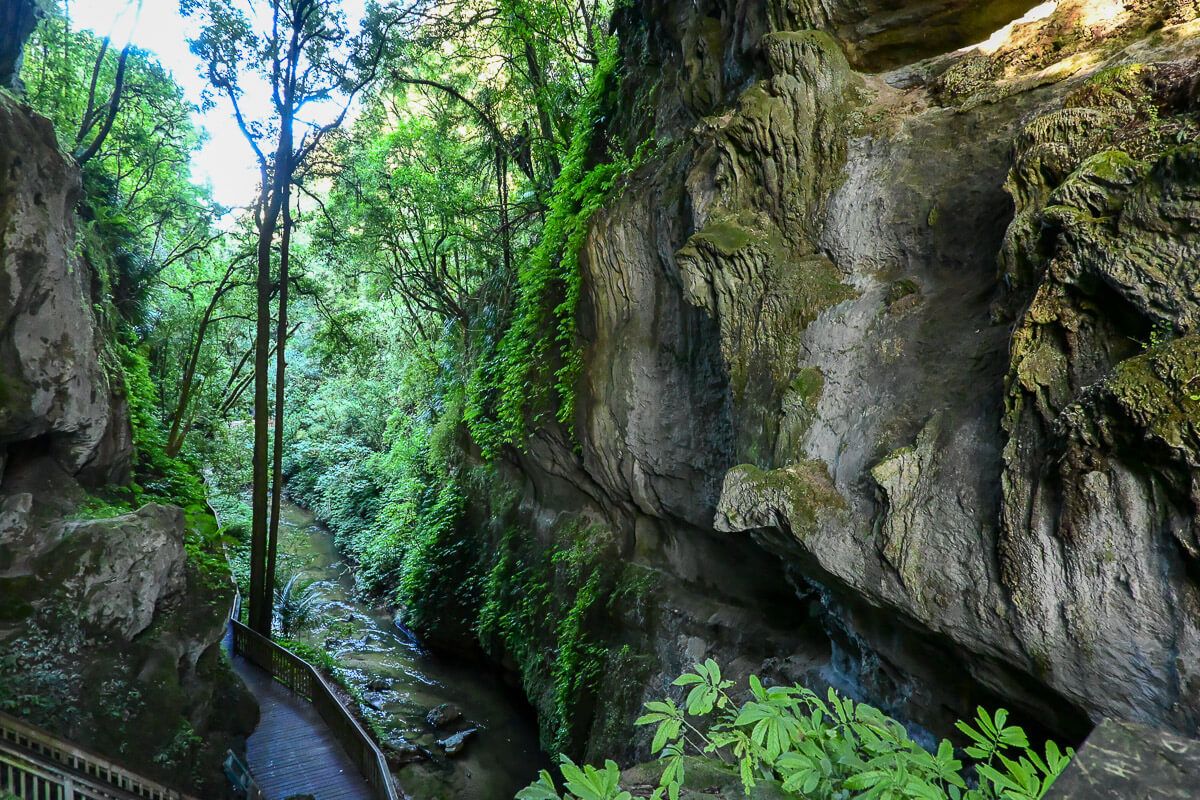 Weg über eine Holzbrücke an einer Felswand im Regenwald entlang