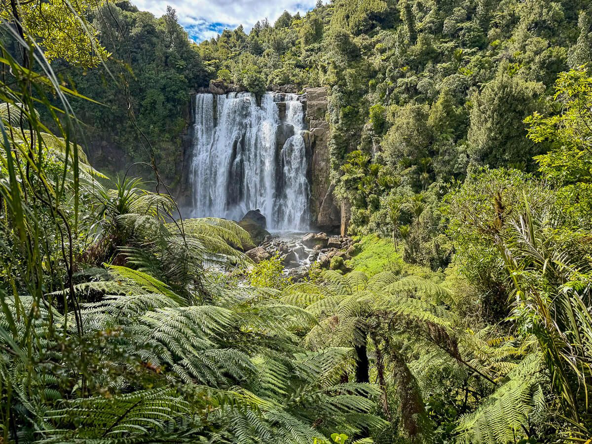 Breiter Wasserfall vor Baumfarnen